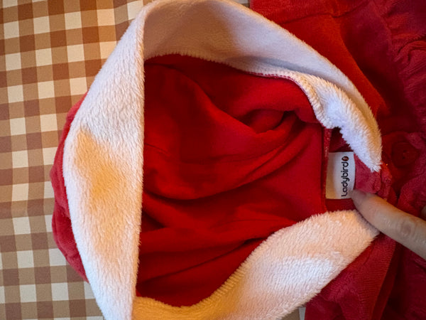 Ladybird 9-12 months