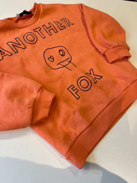 Another Fox 4-5y