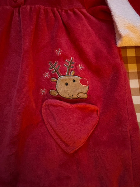 Ladybird 9-12 months