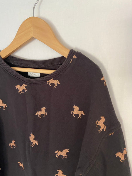 Next unicorn jumper dress (11y)